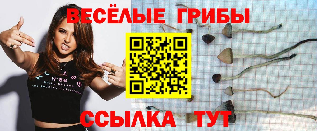Волжский  купить наркотики цена  Псилоцибиновые грибы Psilocybine cubensis  Вход с VPN  Псилоцибиновые грибы мухоморы 